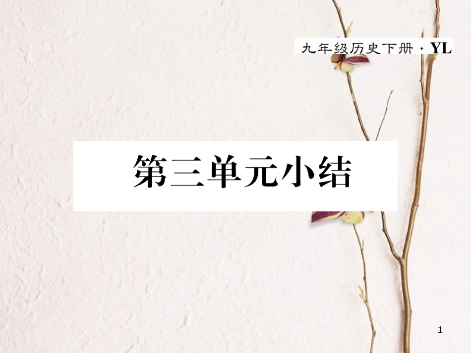 九年级历史下册 第三单元 第二次世界大战小结作业课件 岳麓版(1)_第1页