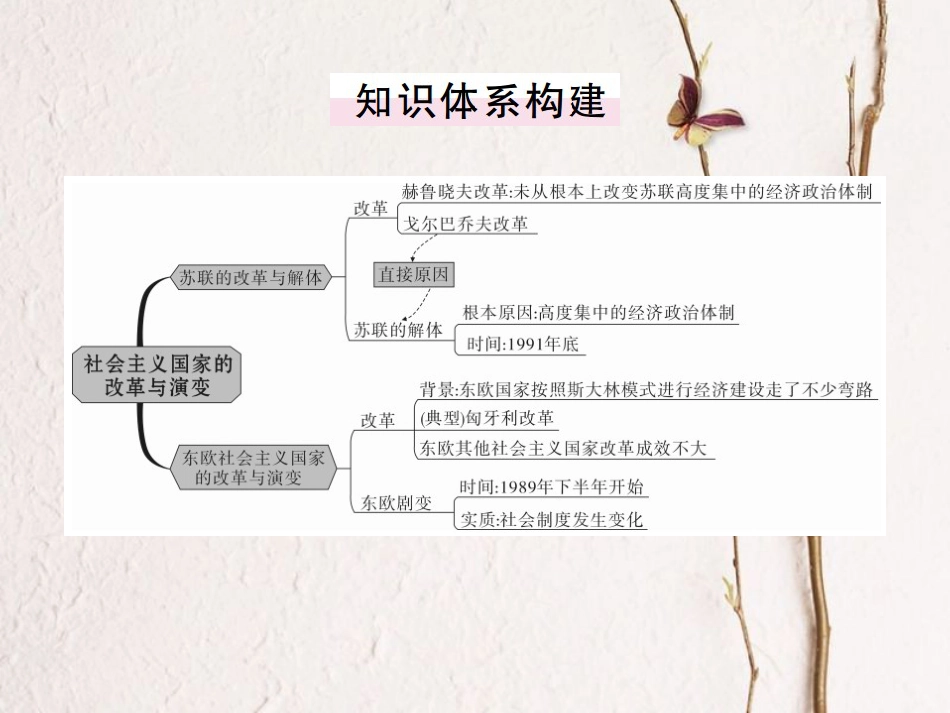 （全国版）九年级历史下册 第五单元 社会主义国家的改革与演变小结练习课件 新人教版(1)_第2页