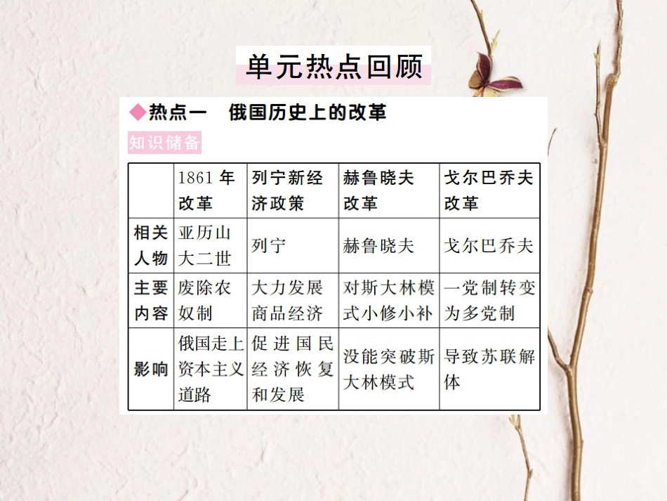 （全国版）九年级历史下册 第五单元 社会主义国家的改革与演变小结练习课件 新人教版(1)_第3页