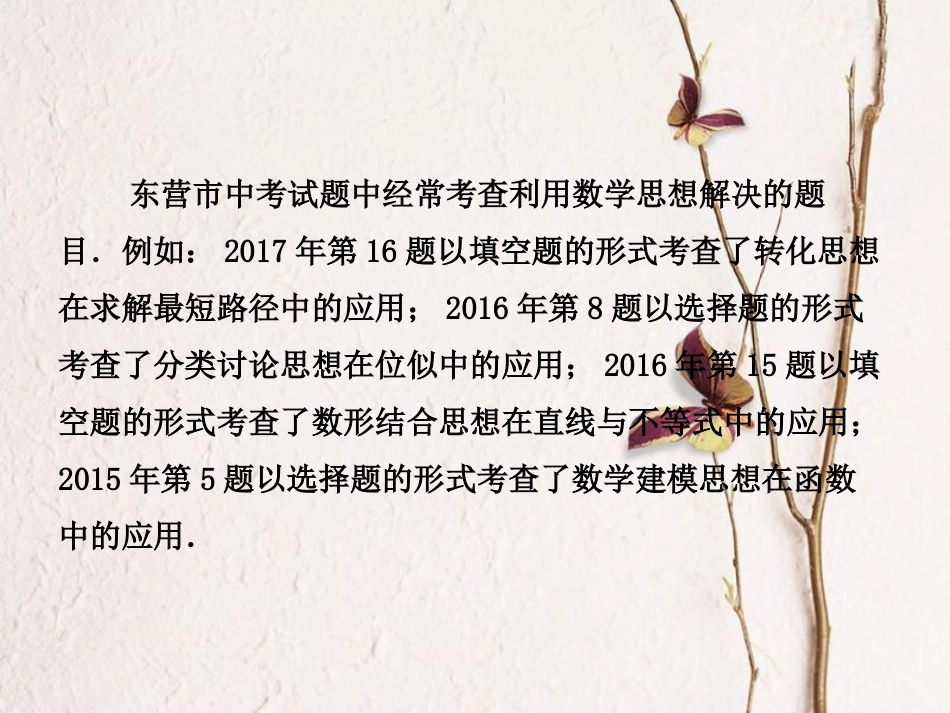 山东省东营市中考数学复习 专题一 数学思想方法问题课件_第3页