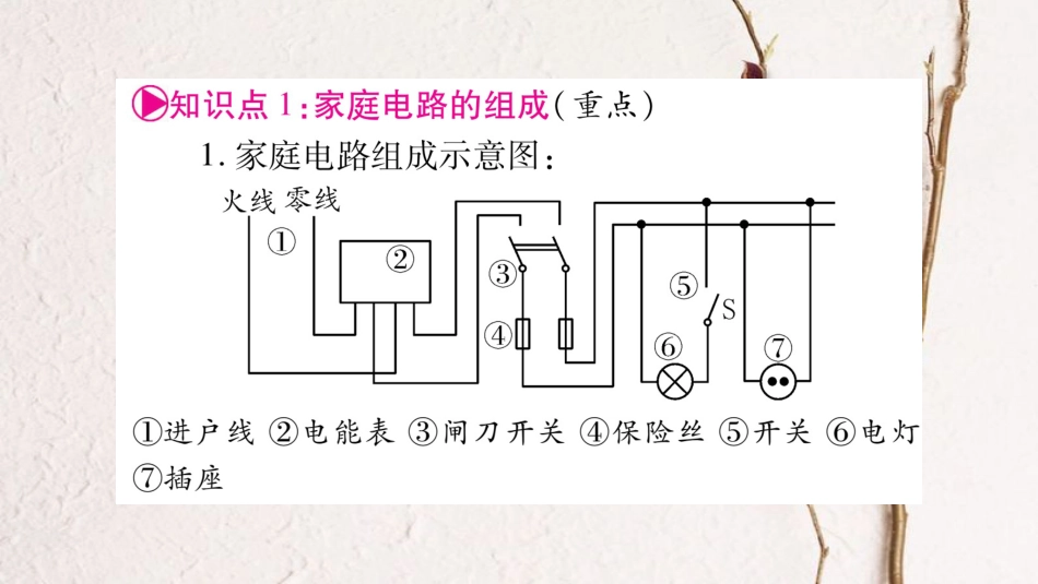 （广西北部湾专版）中考物理总复习 第1篇 教材系统 第20讲 生活用电课件_第2页