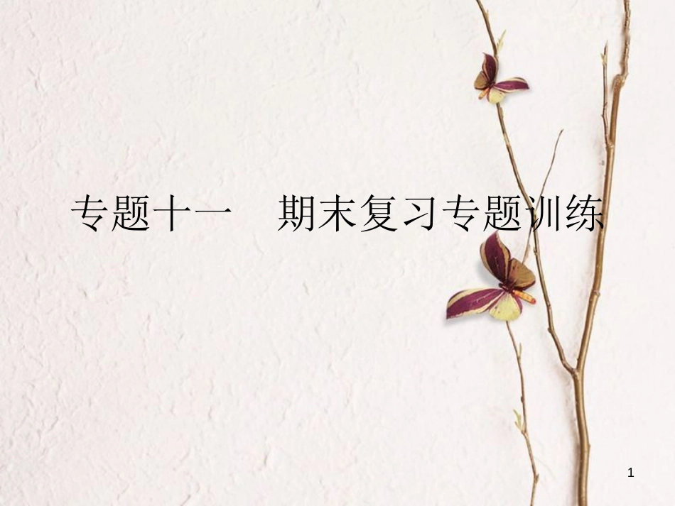 八年级物理全册 专题十一 期末复习专题训练课件 （新版）沪科版_第1页