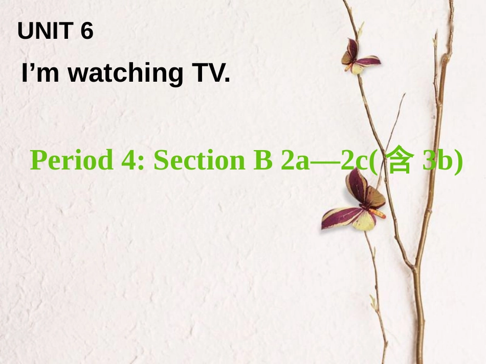 七年级英语下册 Unit 6 I’m watching TV Period 4教学课件 （新版）人教新目标版_第1页