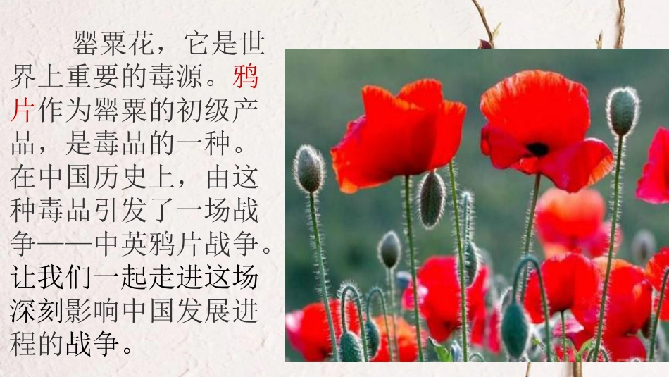 2017八年级历史上册 第一单元 中国开始沦为半殖民地半封建社会 第1课 鸦片战争课件 新人教版_第3页