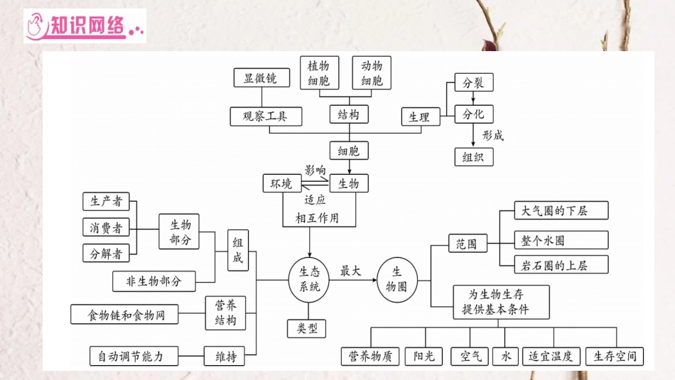 中考生物总复习 知能综合突破 专题1 细胞 生物 生物圈课件 北师大版(1)_第2页