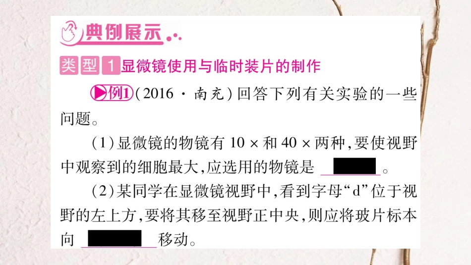 中考生物总复习 知能综合突破 专题1 细胞 生物 生物圈课件 北师大版(1)_第3页