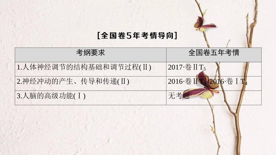 （全国版）2019版高考生物一轮复习 第8单元 生命活动的调节 第2讲 通过神经系统的调节课件(1)_第3页