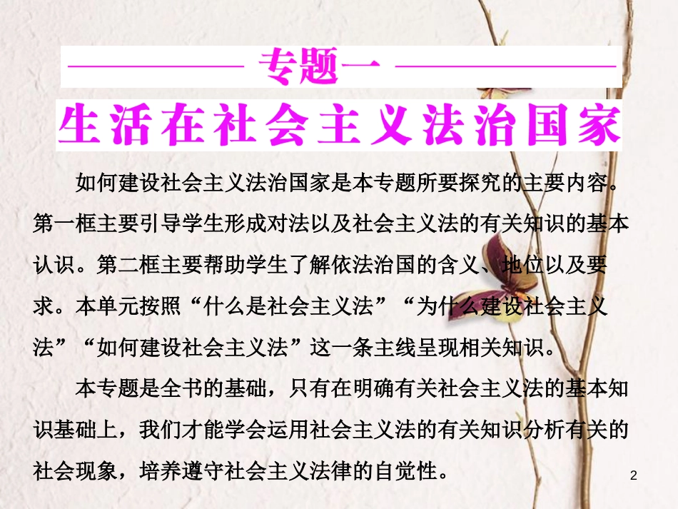 高中政治 专题一 生活在社会主义法治国家 第一框 法的本质、特点和作用课件 新人教版选修5(1)_第2页