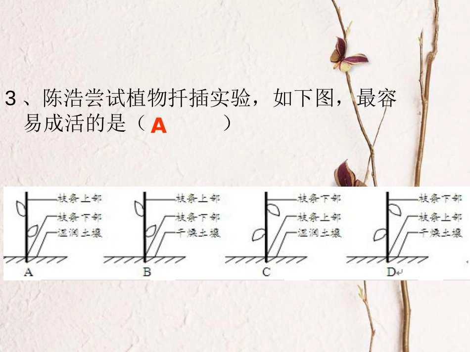 广东省深圳市八年级生物上册 20.1 遗传和变异现象课件 （新版）北师大版_第2页