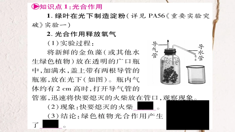 中考生物总复习 八上 第3单元 第3、4、5章教材考点梳理课件 冀教版_第2页