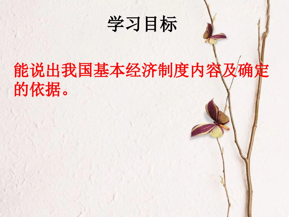 九年级政治全册 第一单元 世界大舞台 第三课 中国的道路 中国特色社会主义基本经济制度的内容课件 人民版_第2页