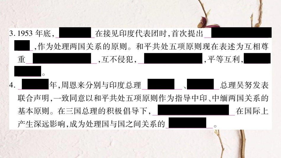 八年级历史下册 第五单元 第16课 独立自主的和平外交课件 新人教版(1)_第3页