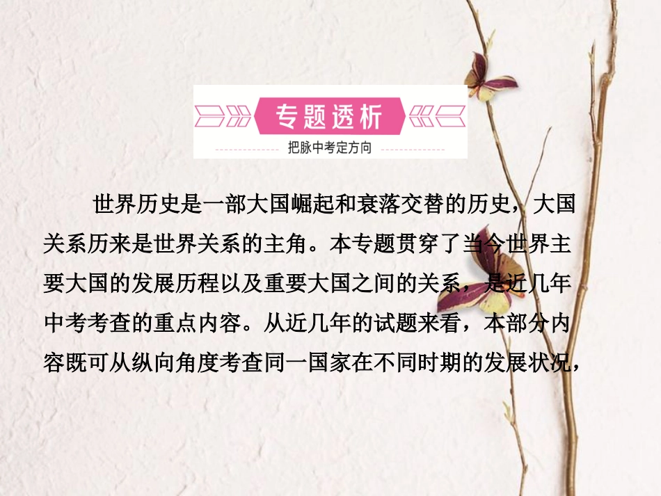 山东省滨州市中考历史复习 专题七 大国发展史及重要大国关系课件_第2页