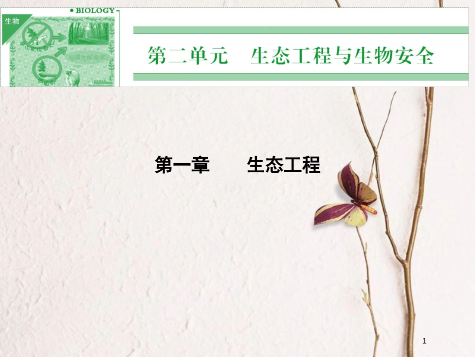 高中生物 第二单元 生态工程与生物安全 第一章 生态工程 2.1.1 生态工程及其原理 2.1.2 我国的生态工程课件 中图版选修3_第1页