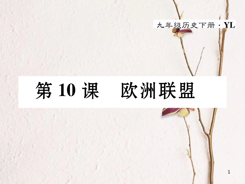 九年级历史下册 第四单元 主要资本主义国家的发展变化 第10课 欧洲联盟作业课件 岳麓版_第1页