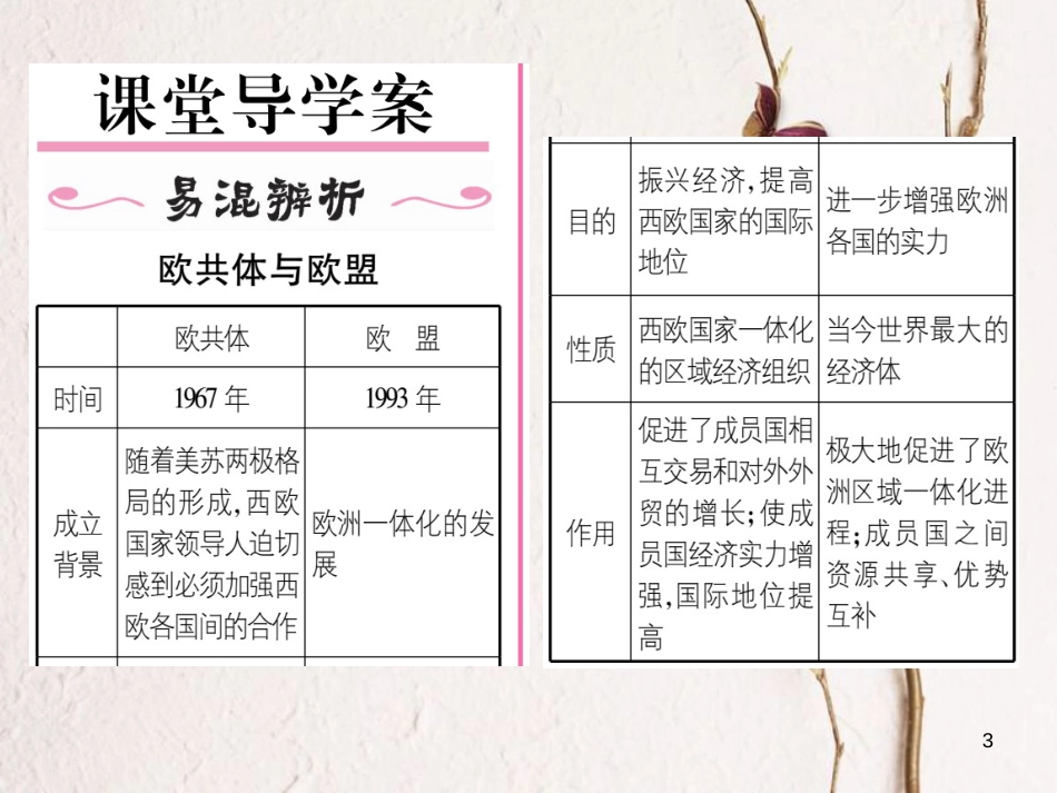 九年级历史下册 第四单元 主要资本主义国家的发展变化 第10课 欧洲联盟作业课件 岳麓版_第3页