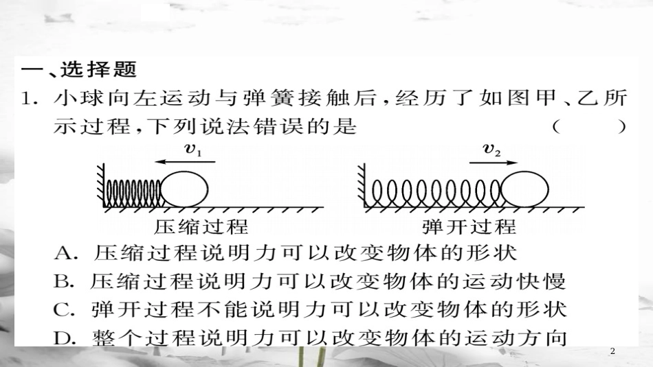 八年级物理下册 期末复习一 力习题课件 (新版)新人教版(1)_第2页