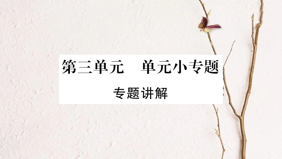 八年级历史下册 第三单元 中国特色社会主义道路小专题课件 新人教版_第1页