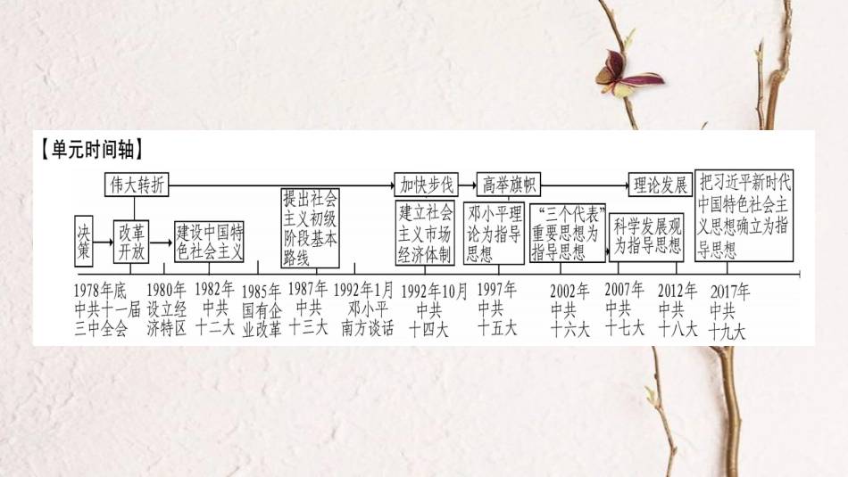 八年级历史下册 第三单元 中国特色社会主义道路小专题课件 新人教版_第2页