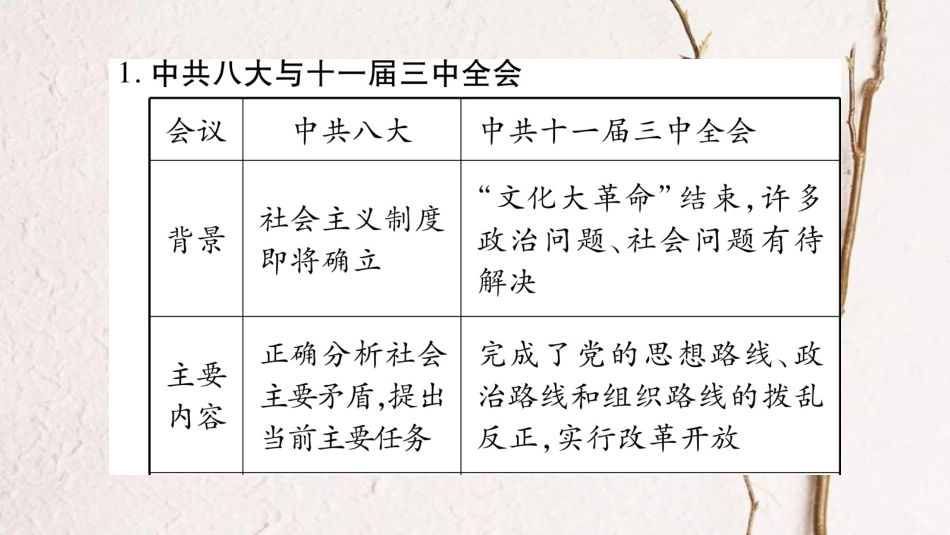 八年级历史下册 第三单元 中国特色社会主义道路小专题课件 新人教版_第3页