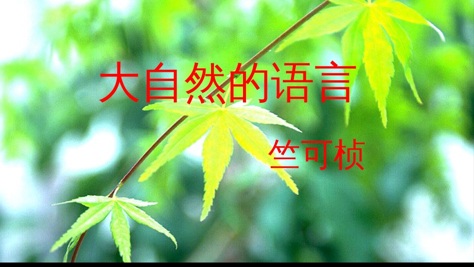 辽宁省恒仁满族自治县八年级语文下册 第二单元 5大自然的语言课件 新人教版(1)_第3页