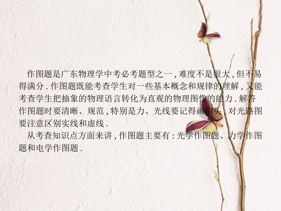 中考物理 专题四 作图题复习课件 新人教版(1)_第2页