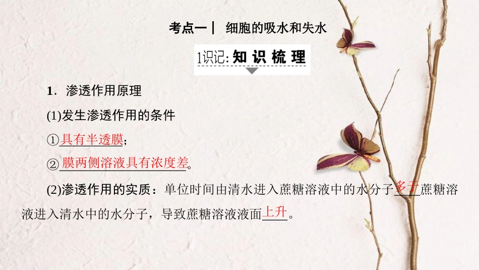 高三生物一轮复习 第2单元 细胞的物质输入与输出课件 新人教版必修1(1)_第2页