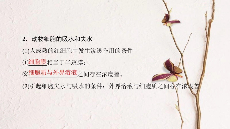 高三生物一轮复习 第2单元 细胞的物质输入与输出课件 新人教版必修1(1)_第3页