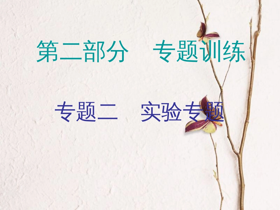 广东省中考物理总复习 第二部分 专题训练 专题二 实验专题内文部分课件_第1页