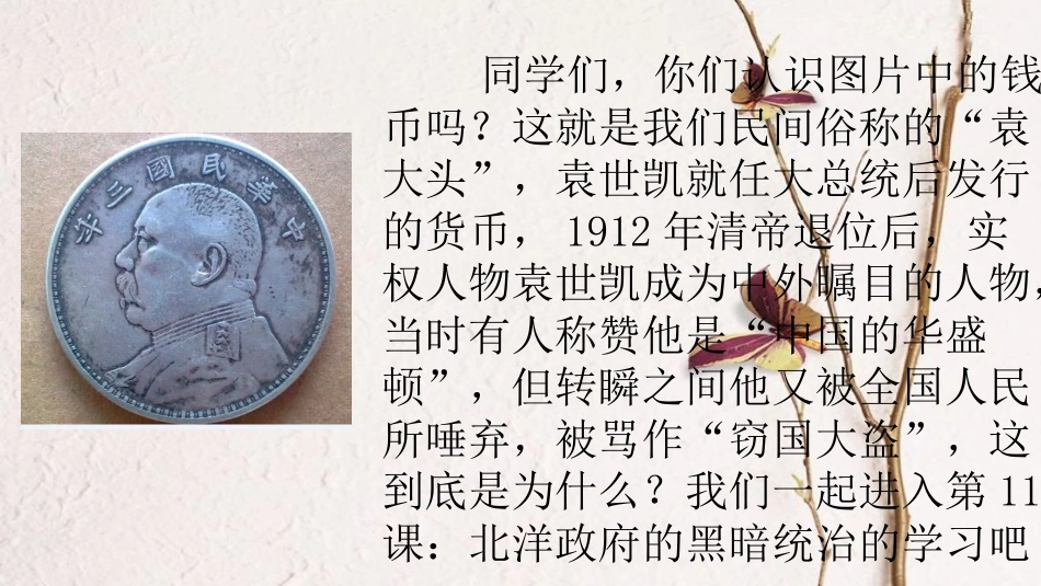 2017八年级历史上册 第三单元 资产阶级民主革命与中华民国的建立 第11课 北洋政府的黑暗统治课件 新人教版_第2页