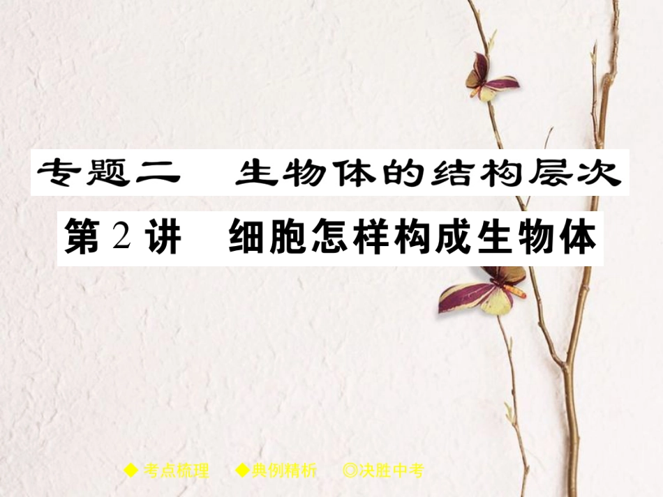 中考生物总复习 专题突破二 生物体的结构层次 第2讲课件(1)_第1页