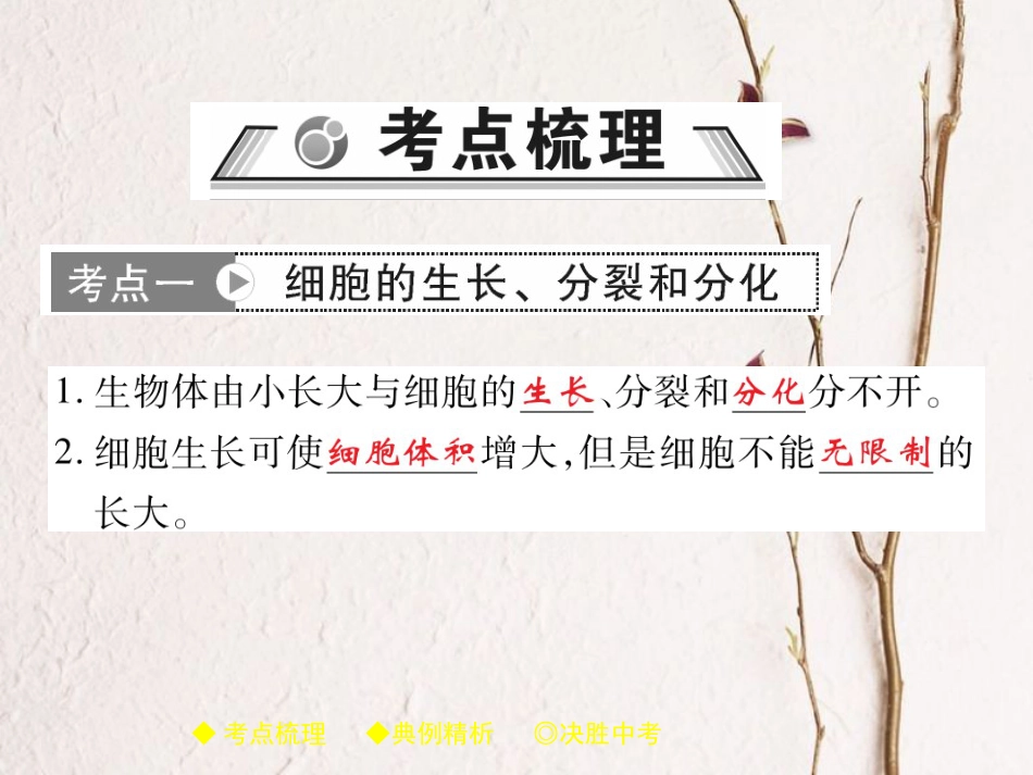 中考生物总复习 专题突破二 生物体的结构层次 第2讲课件(1)_第2页