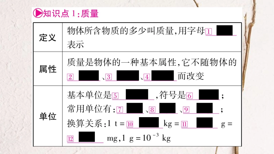 中考物理一轮复习 第6讲 质量与密度课件 新人教版_第2页
