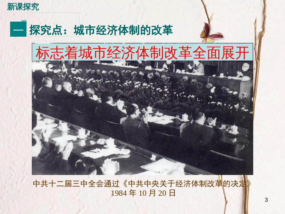 八年级历史下册 第四单元 建设中国特色社会主义道路的开拓 第13课 改革的不断深化教学课件 岳麓版_第3页