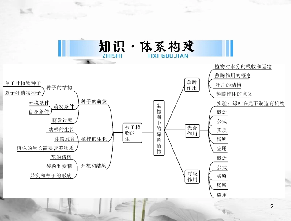 中考生物 考点梳理 第一轮 第三章 第一讲 被子植物的一生课件_第2页