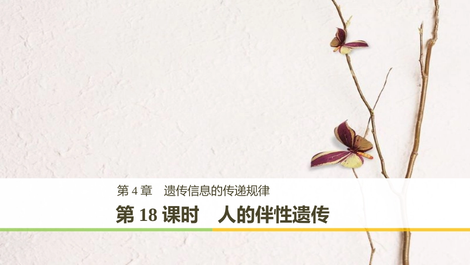 高中生物 第4章 遗传信息的传递规律 第18课时 人的伴性遗传课件 北师大版必修2[共51页]_第1页