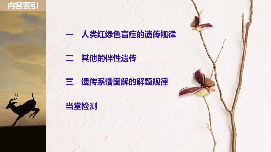 高中生物 第4章 遗传信息的传递规律 第18课时 人的伴性遗传课件 北师大版必修2[共51页]_第3页