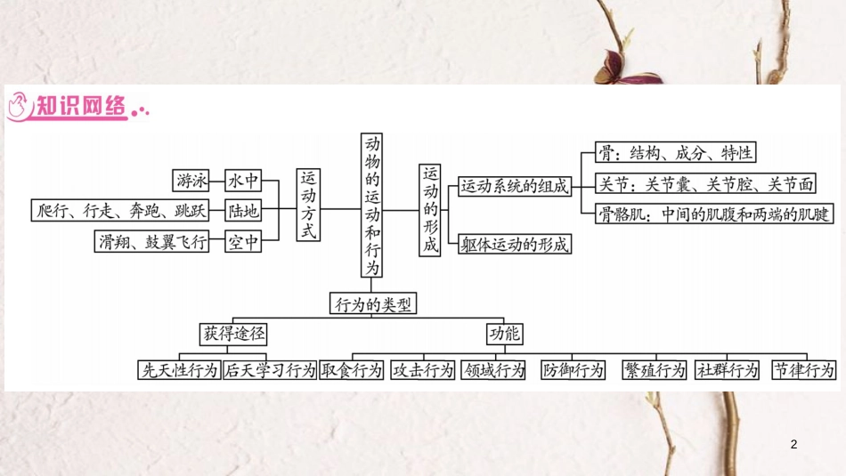 中考生物总复习 知能综合突破 专题4 动物的运动和行为课件 北师大版(1)_第2页