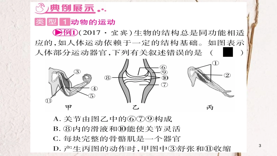 中考生物总复习 知能综合突破 专题4 动物的运动和行为课件 北师大版(1)_第3页