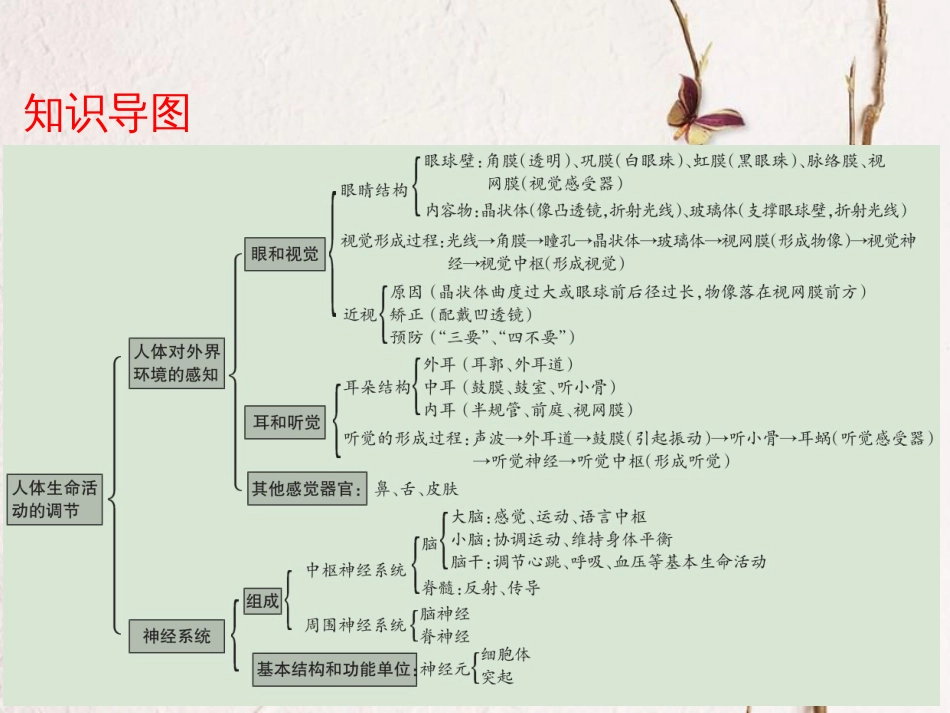 广东省中考生物 第四单元 生物圈中的人 第六章 第七章 人体生命活动的调节 人类活动对生物圈的影响课件(1)_第3页