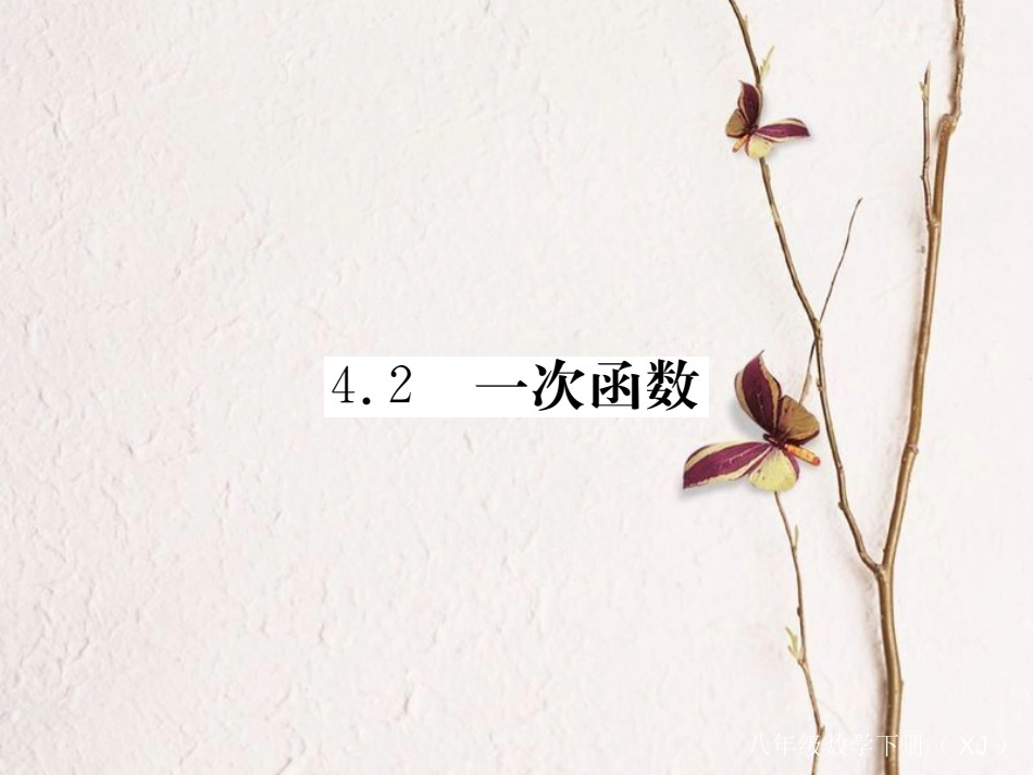 八年级数学下册 第四章 一次函数 4.2 一次函数导学课件 （新版）湘教版(1)_第1页