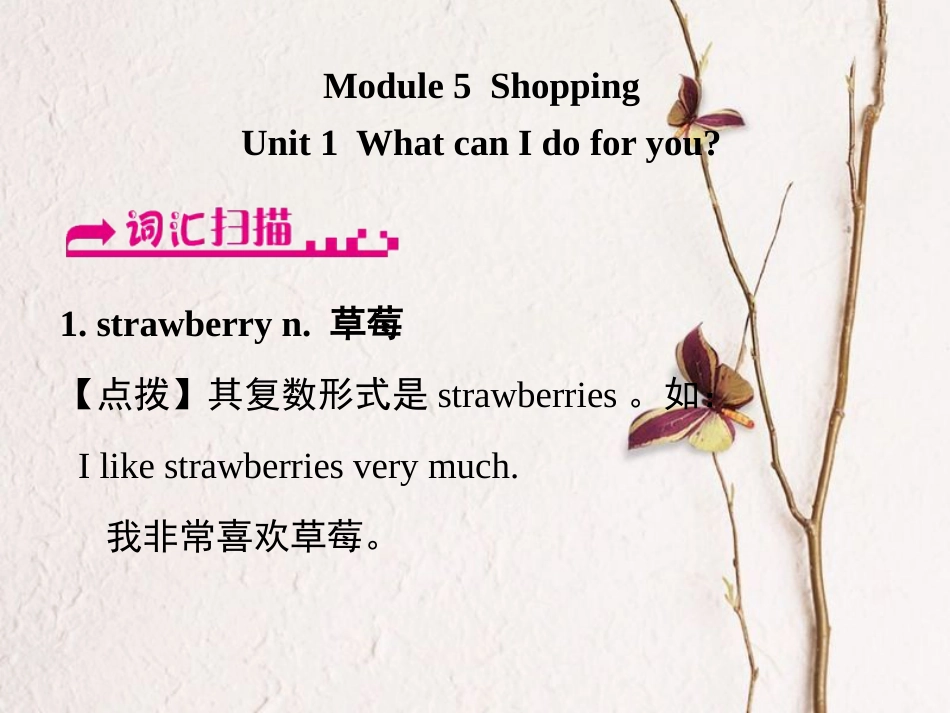 浙江省嘉兴市秀洲区七年级英语下册 Module 5 Shopping Unit 1 What can I do for you课件 （新版）外研版_第1页