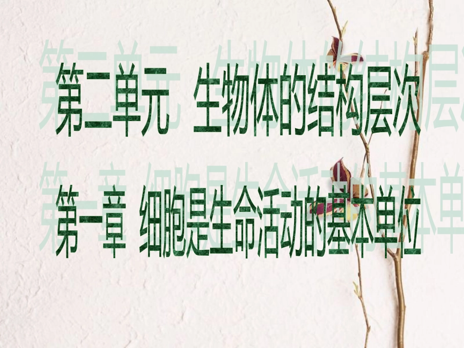 广东省中考生物 第二单元 生物体的结构层次 第一章 细胞是生命活动的基本单位课件_第1页