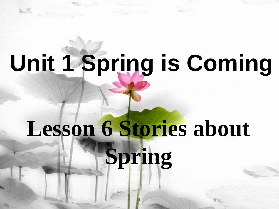 八年级英语下册 Unit 1 Spring Is Coming Lesson 6 Stories about Spring课件 （新版）冀教版_第1页