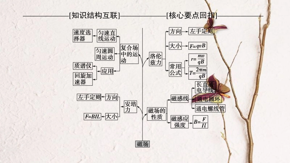 高考物理二轮复习 第1部分 专题整合突破 专题9 磁场的性质 带电粒子在磁场及复合场中的运动课件(1)_第3页