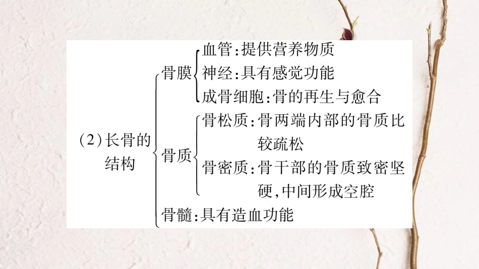 中考生物总复习 八上 第4单元 第1、2章教材考点梳理课件 冀教版_第3页