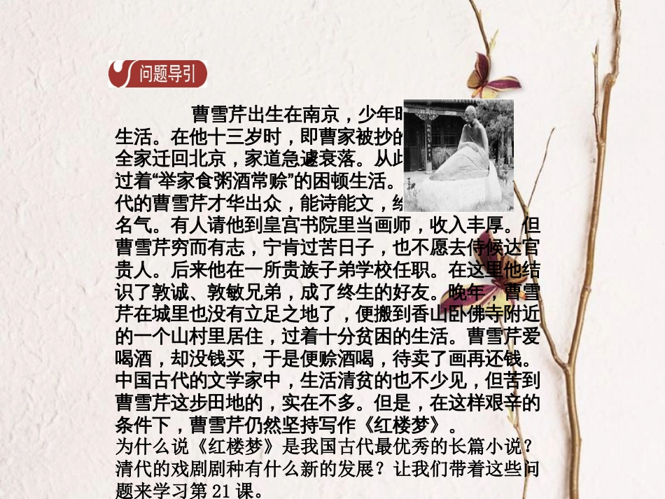 春七年级历史下册 第三单元 明清时期 统一多民族国家的巩固与发展 第21课 清朝前期的文学艺术导学课件 新人教版(1)_第3页