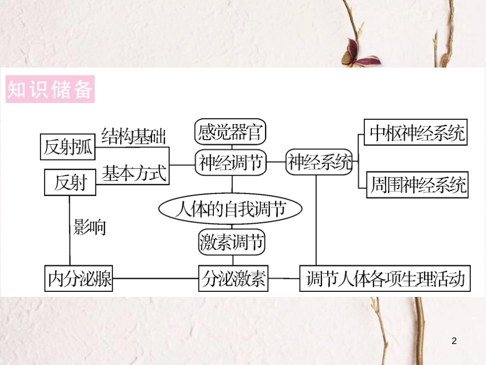 七年级生物下册 热点复习五 人体的自我调节课件 （新版）北师大版(1)_第2页