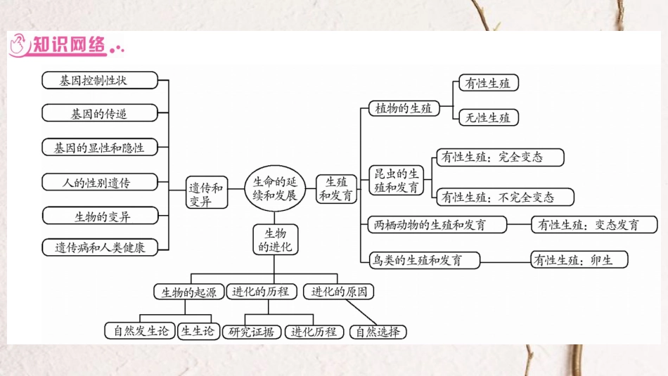 中考生物总复习 知能综合突破 专题5 生物的生殖、发育和遗传课件 北师大版(1)_第2页