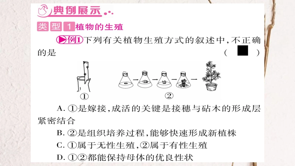 中考生物总复习 知能综合突破 专题5 生物的生殖、发育和遗传课件 北师大版(1)_第3页